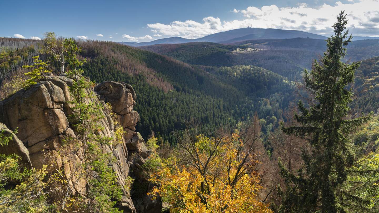 Blick von der Rabenklippe auf die umliegen Wälder im frühen Herbst | © Gettyimages.com/ae-photos